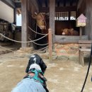 행복 나루터1 이미지