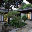 신한동물병원 앞 이미지