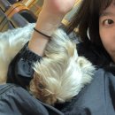 영월교회 앞 | 뒤틀린 2025년 어떻게든 살아야지