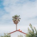 제주아그로 이미지