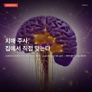 26500-80-04-001 | 알츠하이머 치매 주사, 집에서 직접 맞는 시대 — 432명 82.5% 안정 증명