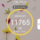 이 가격 또 한 번&amp;인대장미공원 이미지