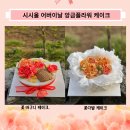 시시올