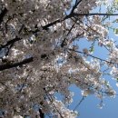 소풍가자 - 군산시 신설2길 8 | 소풍가자