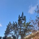 MG새마을금고빌딩 이미지