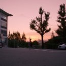 아주 특별한 여름밤 이미지