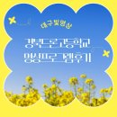 경북드론고등학교 | 대구빛명상, 경북드론고등학교 명상프로그램 후기