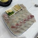 오대감참가자미회타운