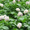 민박미천골 이미지