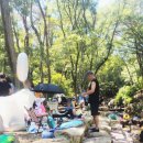 장척계곡식당 | 김해 장척계곡 부산근교계곡 아이도 성인도 굿