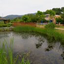 백곡면문화복지센터 이미지