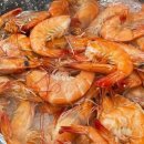 대교왕새우 이미지