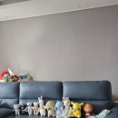 평화컴퓨터세탁 이미지