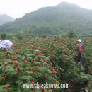 한관수농장 이미지