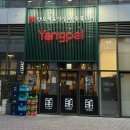 6035 | 인천 트리플스트리스 양고기 양꼬치 맛집 양파이 송도주차 잡내없는 양꼬치 맛 후기