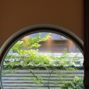 건영아파트(101동앞) 이미지