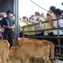 장교축산 이미지