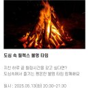 서울헬스 | 2025. 5. 13. 화. 2025 서울헬스쇼 1: 선셋 요가/불멍 타임 후기 (참가 &amp; 부스 이벤트 선물)