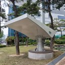 연화공원 영화의전당 네이버블로그