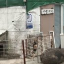 1박 2일 남해여행 / 남해 맛집, 카페, 독일마을, 상주은모래비치, 회포장, 스모프치킨, 아마도책방...