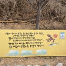 묵호등대 공용화장실 | 강원도 동해 묵호가볼만한곳 논골담길