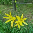 고잔2길 이미지