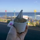 홍조단괴 탈의장(서빈백사) | 25.07 우도가는길, 윌라라, 한라흑돼지식당, 우도가는배, 우도사랑펜션, 서빈백사, 소섬전복, 검멀레슈퍼