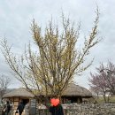 산수가든 이미지