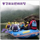 동강포도원펜션 티스토리