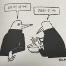 마찌돈 이미지