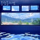 플럼블라썸 이미지
