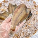 참가자미 이미지