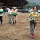 혜경농장 Daum카페