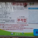 약진로변 이미지