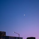 슈만음악학원 이미지