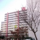 삼호로-1 이미지