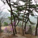 정릉75 이미지