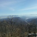 스마트폰으로 보는 세상 이미지