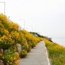 사하구-02 티스토리
