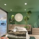 모와슈퍼 | 모베 헤라 슈퍼싱글 트윈침대 사용 후기 (feat.모베 일산점 &amp; 베드기어 방문기)