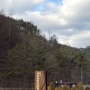 남이면사무소 | [숙소] 대전 근교 국립금산자연휴양림 숲속의집 금강송 후기