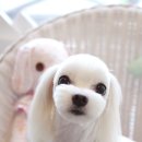 열정샵