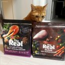 대한사료(주) | 고양이 사료 브랜드 정착한 이유!