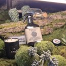 스톤스테이 | 마나스테이 샤쉐 스톤 룸스프레이 실내방향제 추천 만다린향 재구매