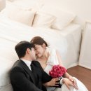 선연당 | [W 8.]웨딩촬영 선연스튜디오 후기 / 키노스튜디오 + 노을공원 내돈내산 야외웨딩스냅