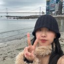 서14-401 | 3월 일상 부산, 대구 여행, 홍대 연남동 데이트, 러닝, 반려동물 뚱이 데이트, 직장인 점심, 친구들과...