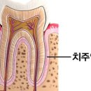 면목서울치과의원 이미지