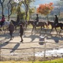 거리농장 이미지