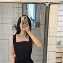 코디애견샵 이미지