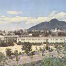 봉의초등학교 이미지